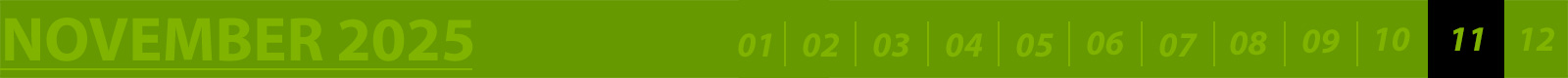 November 2025